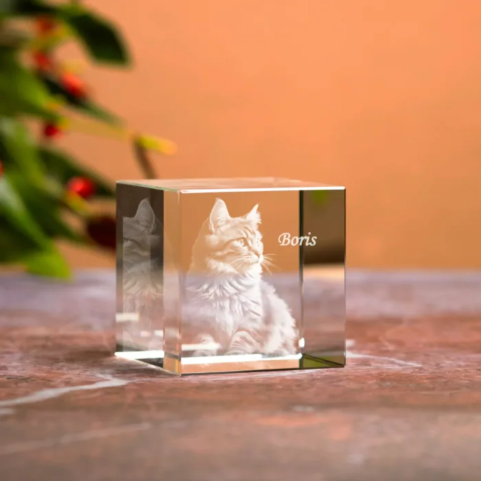 cristallo cubo gatto 1